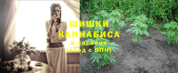 дживик Магас