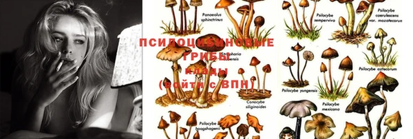 каннабис Медвежьегорск